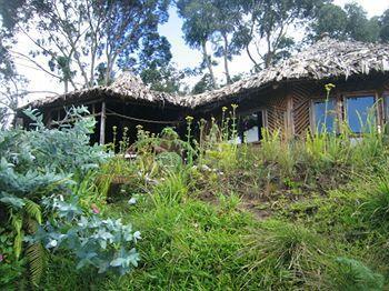 Mount Kilimanjaro View Lodge Моши Екстериор снимка