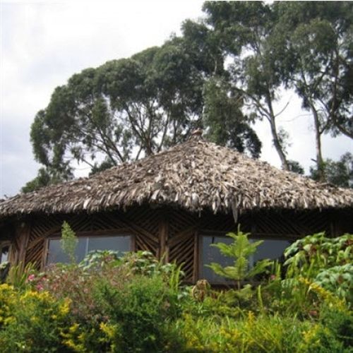 Mount Kilimanjaro View Lodge Моши Екстериор снимка