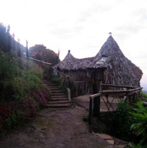 Mount Kilimanjaro View Lodge Моши Екстериор снимка